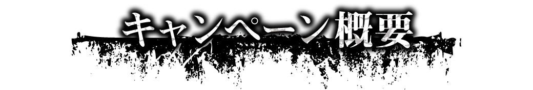 キャンペーン概要